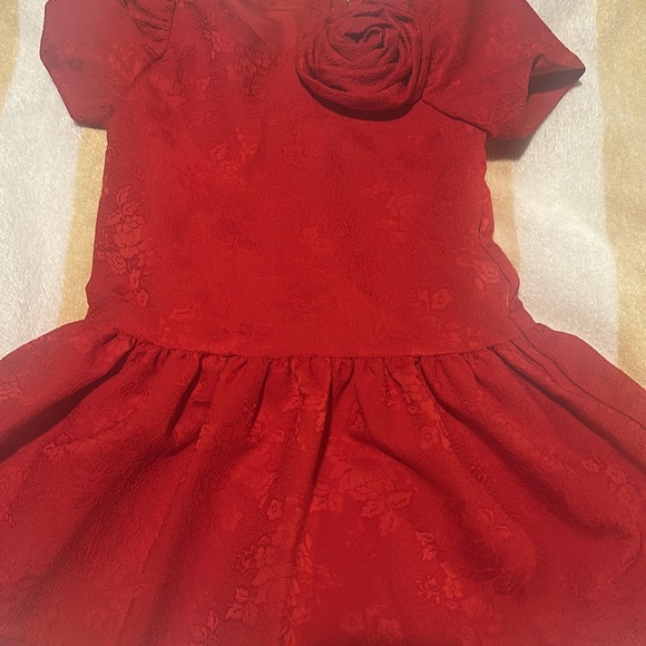 New Janie and Jack dress - Picture 3 of 11